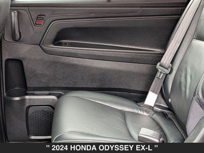 2024 Honda Odyssey EX-L