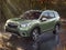 2019 Subaru Forester Limited LIMITED