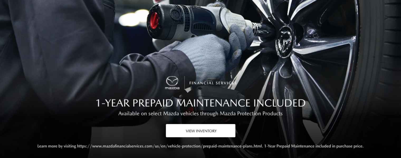 1 Year Pre-Paid Maintenance